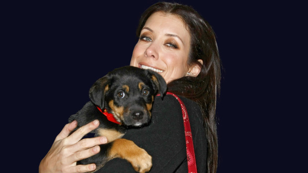 'I'll Miss You Forever': 12 Celebs Who Lost a Pet in 2023 all-available