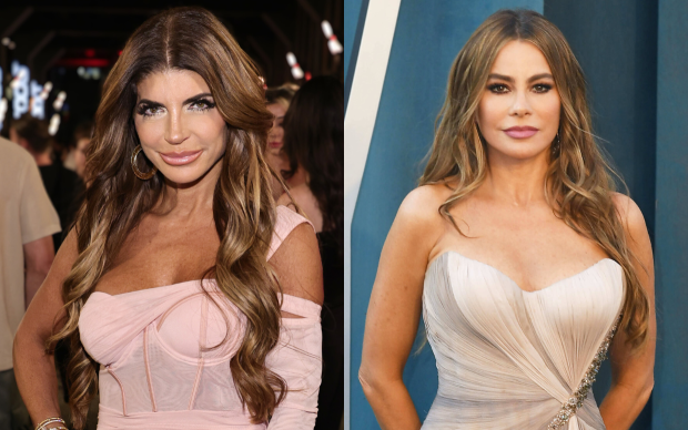 Teresa Giudice Slams Sofia Vergara as 'Rudest Woman' She's Met all-available